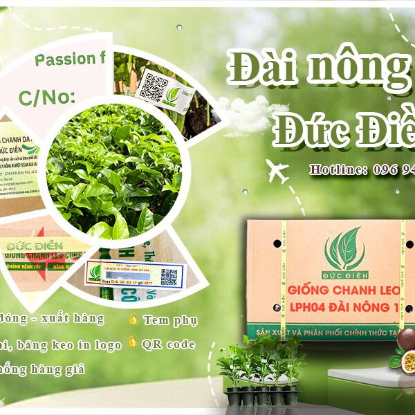 Đài nông 1 Đức Điền