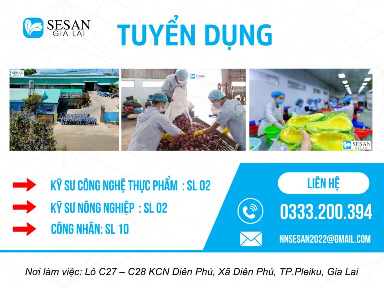 Tuyển dụng t10 2024-01