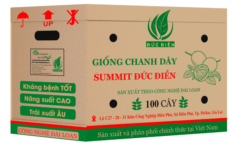 GIỐNG CHANH DÂY SUMMIT ĐỨC ĐIỀN