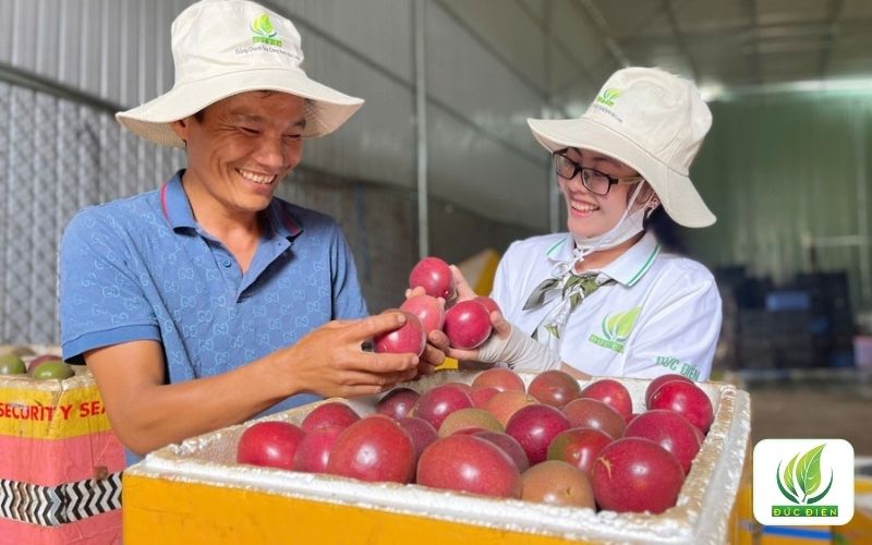 Xuất khẩu chanh dây sang Mỹ - Lợi thế lớn cho bà con Việt Nam