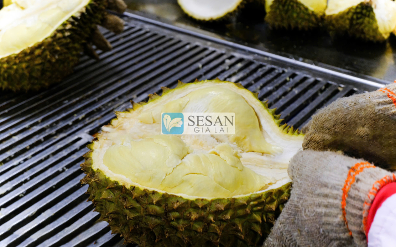 Sầu riêng đông lạnh được chọn lọc và chế biến kỹ lưỡng