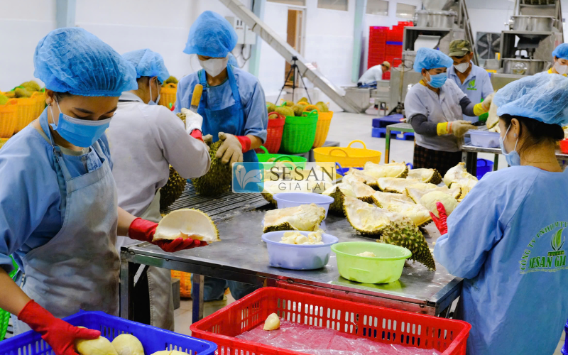 Sầu riêng đông lạnh đạt chuẩn an toàn vệ sinh thực phẩm