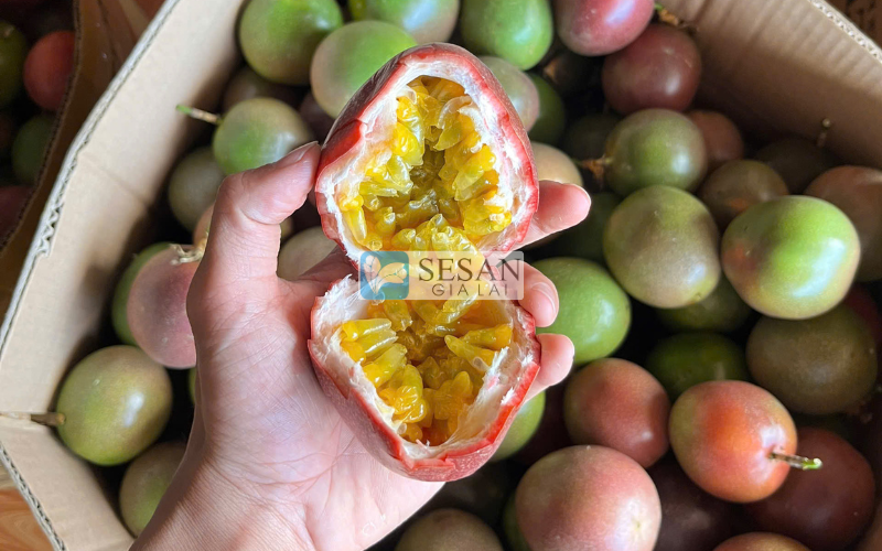 Chanh dây giúp tăng cường hệ miễn dịch