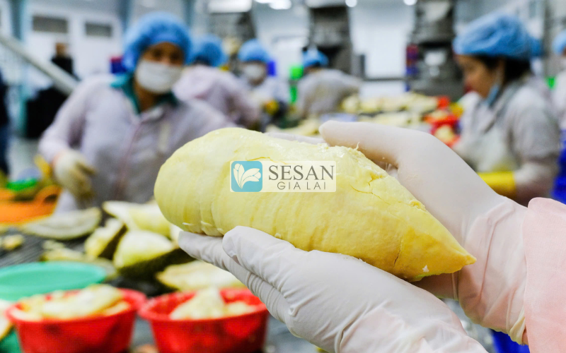 Lựa chọn địa điểm uy tín mua hàng