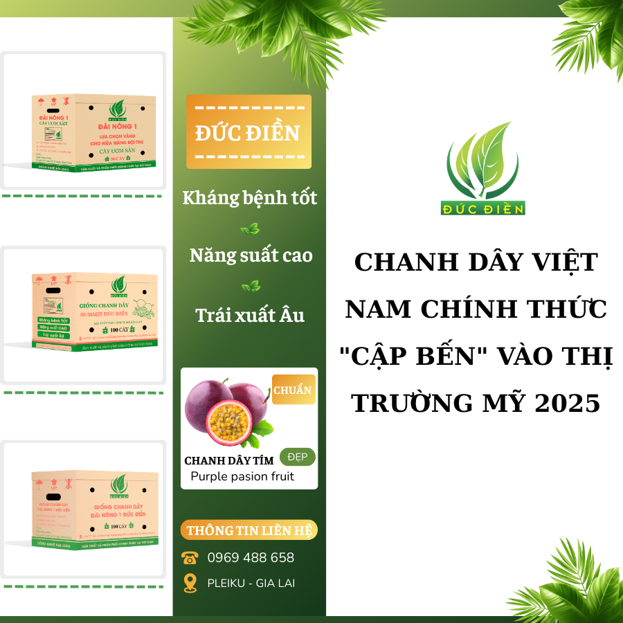Chanh dây xuất khẩu sang mỹ