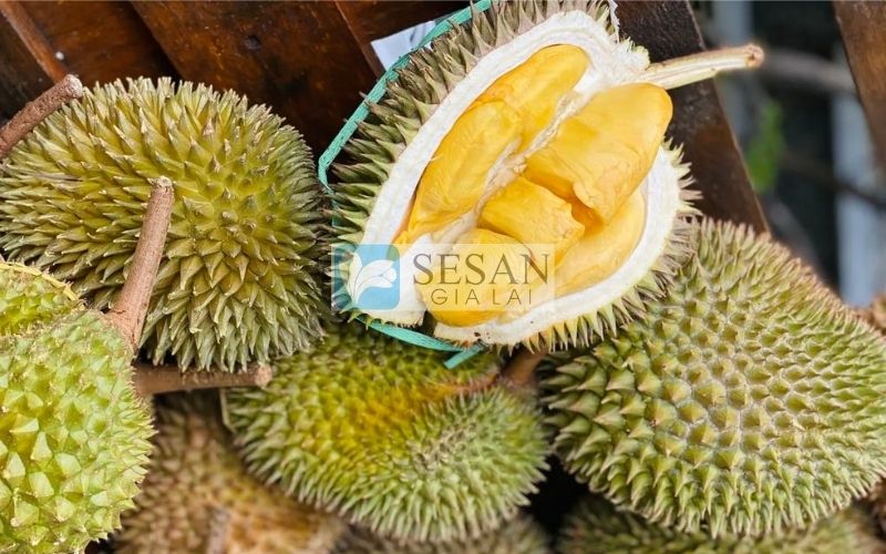 SẦU RIÊNG ĐÔNG LẠNH CÓ NGON KHÔNG