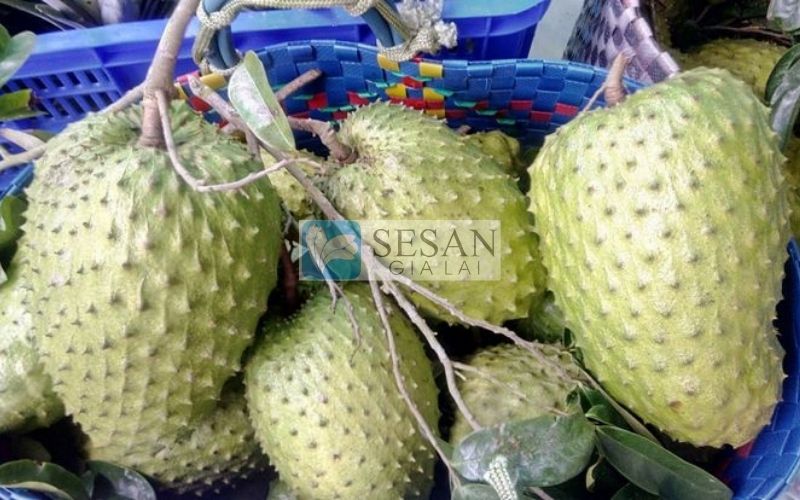 Bảo quản mãng cầu đông lạnh