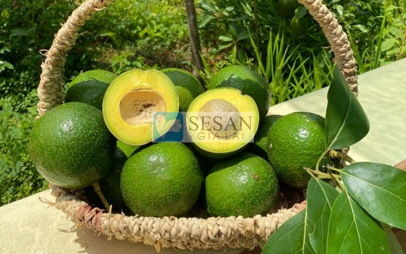 Bơ đông lạnh có bị đắng không?