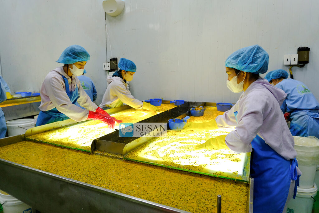 Dịch chanh dây nguyên chất