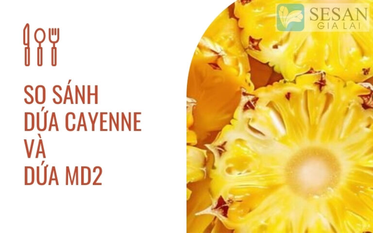 DỨA CAYENNE VÀ DỨA MD2