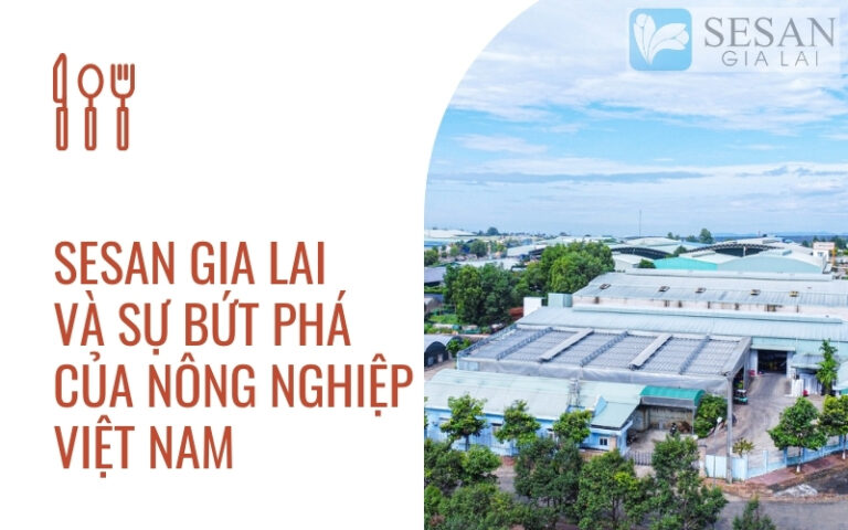 SESAN GIA LAI BỨT PHÁ NÔNG NGHIỆP