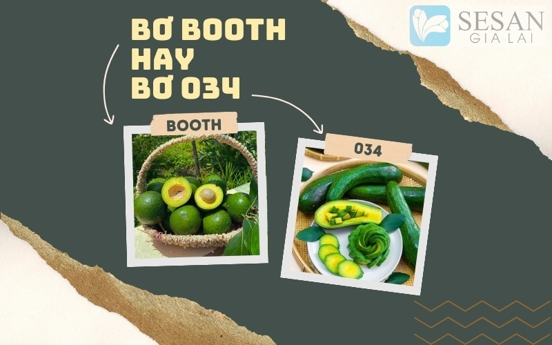 So sánh bơ booth và bơ 034