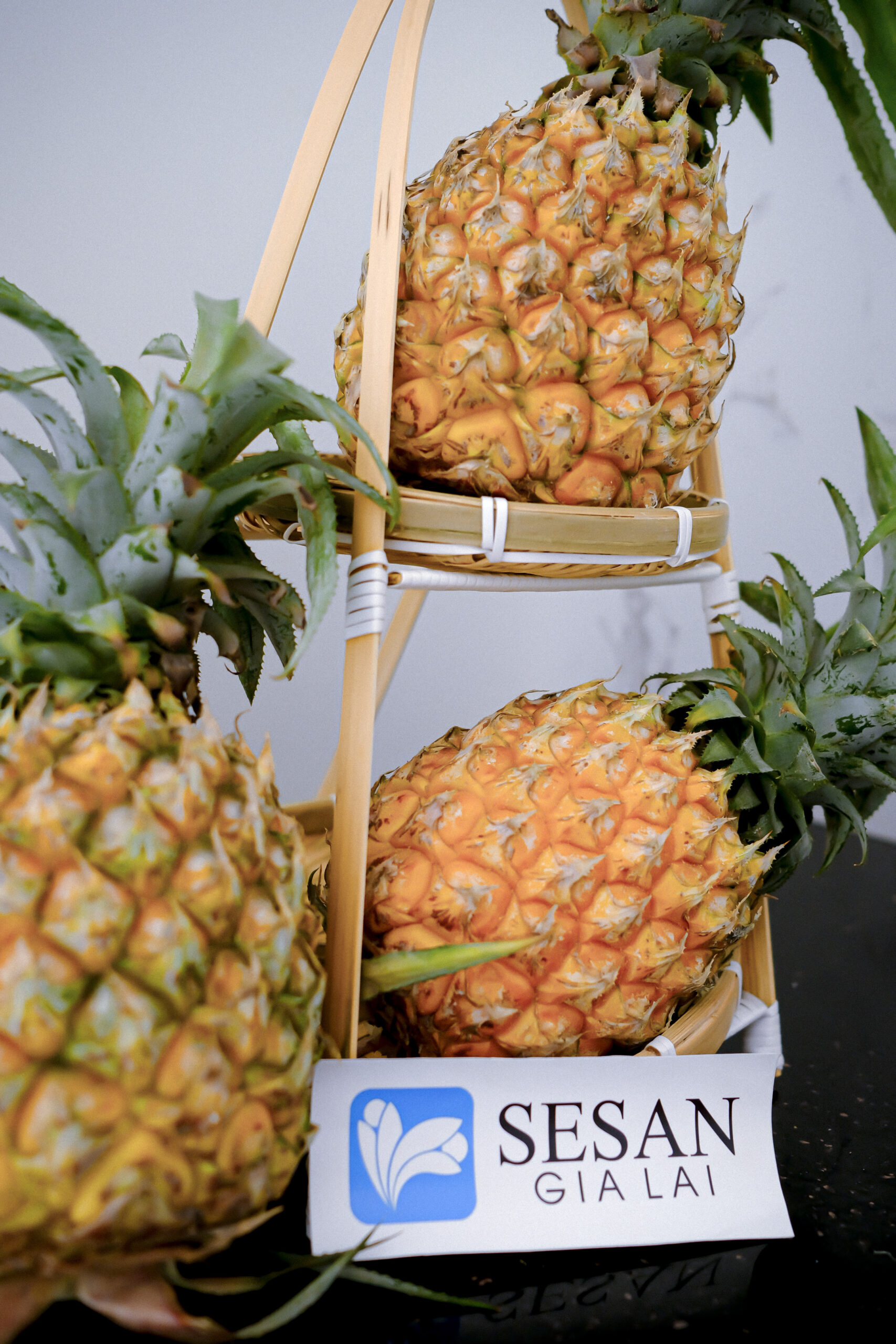 Thơm cấp đông Sesan