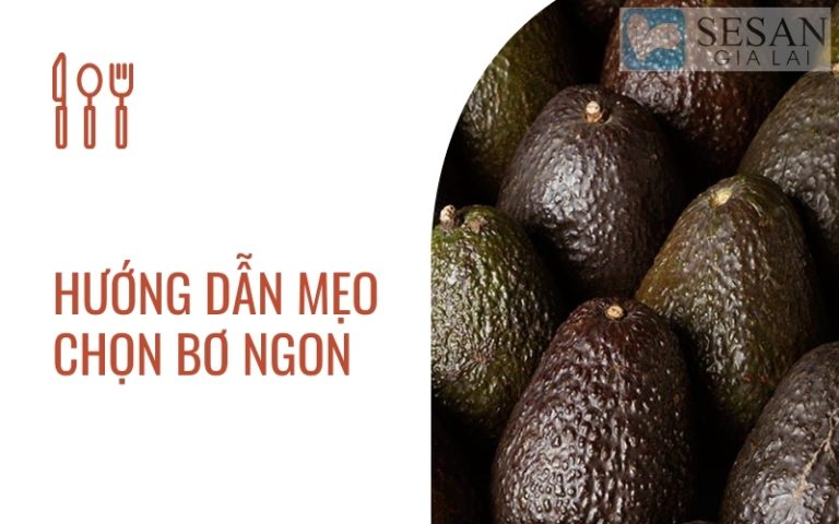 MẸO CHỌN BƠ NGON