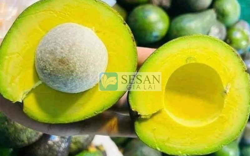 MẸO CHỌN BƠ NGON
