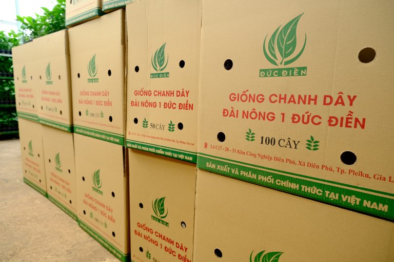 Giống chanh dây đài nông 1 Đức Điền - Vườn ươm cây giống chất lượng cao