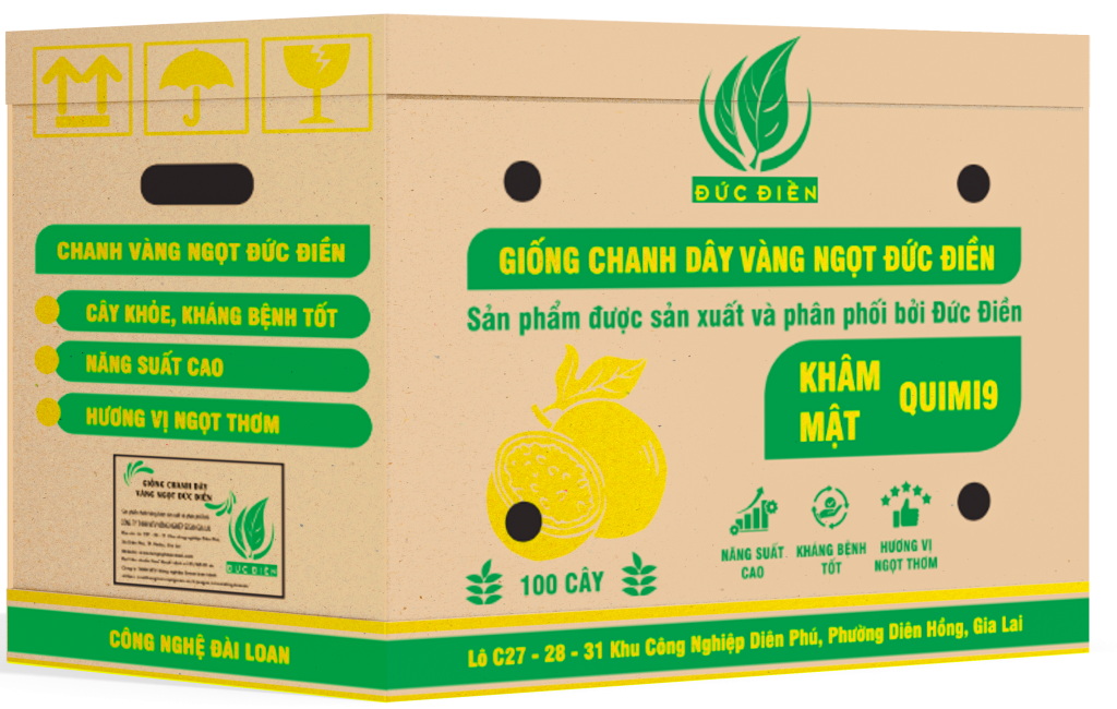 GIỐNG CHANH VÀNG KHÂM MẬT