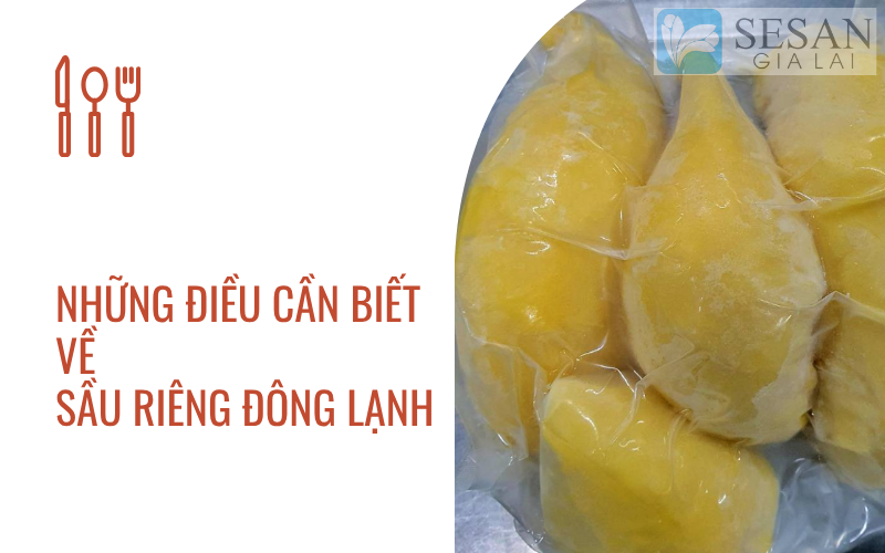 SẦU RIÊNG ĐÔNG LẠNH: NHỮNG ĐIỀU CẦN BIẾT