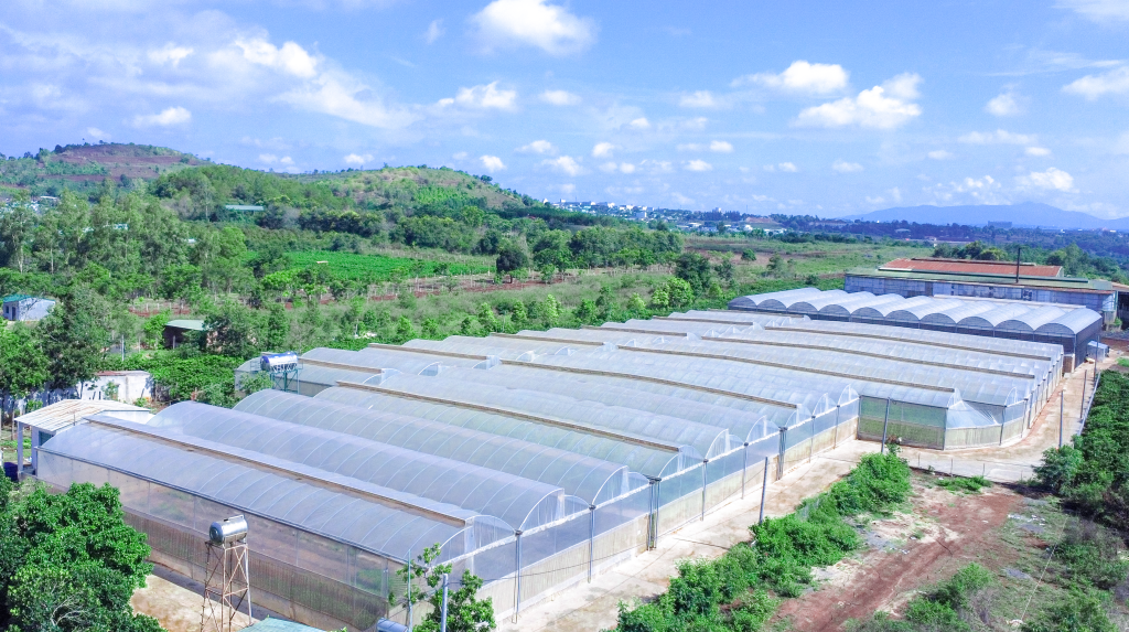 Vườn ươm giống chanh dây Đài nông 1 Đức Điền
