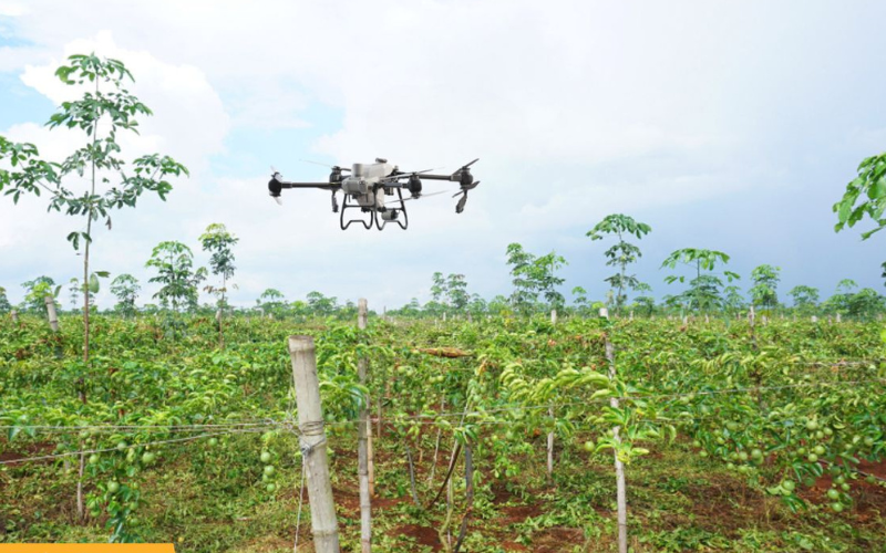 MÁY BAY KHÔNG NGƯỜI LÁI (DRONE)