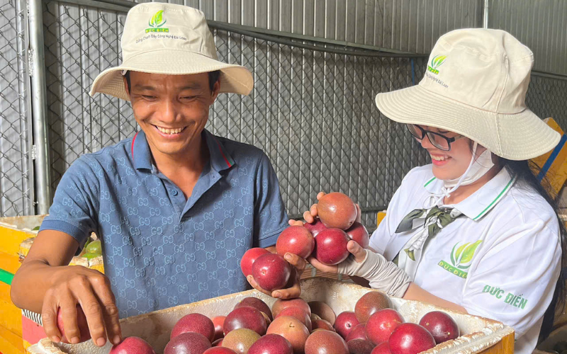 SO SÁNH NHANH GIỮA VIETGAP – GLOBALGAP – TIÊU CHUẨN TRUNG QUỐC/EU