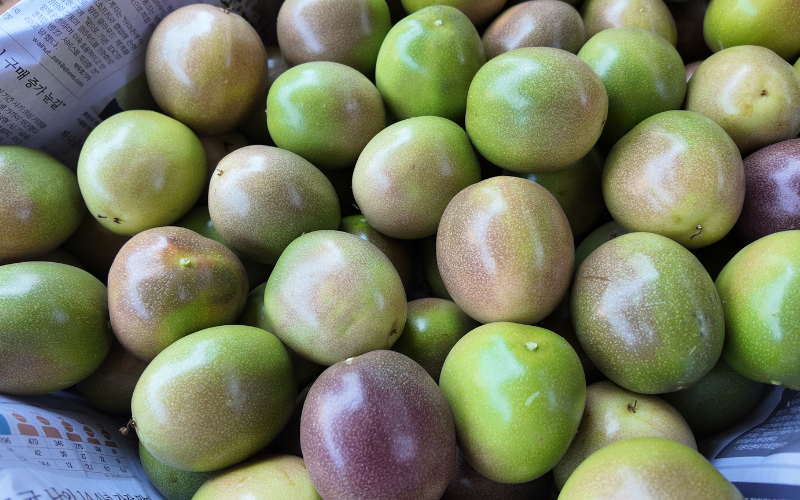 NẮM BẮT TÌNH HÌNH THỊ TRƯỜNG XUẤT KHẨU CHANH DÂY HIỆN NAY