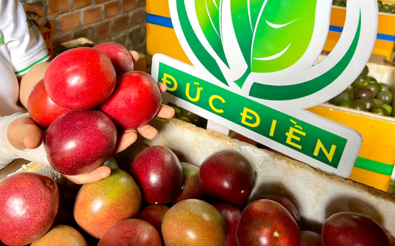 TIÊU CHUẨN XUẤT KHẨU CHANH DÂY SANG TRUNG QUỐC