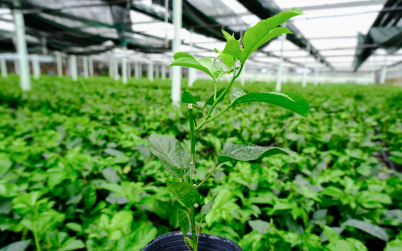 LỢI ÍCH 3: TỐI ƯU NĂNG SUẤT VÀ TUỔI THỌ