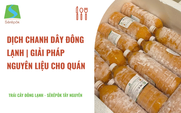 dịch chanh dây đông lạnh nguyên chất dùng cho pha chế