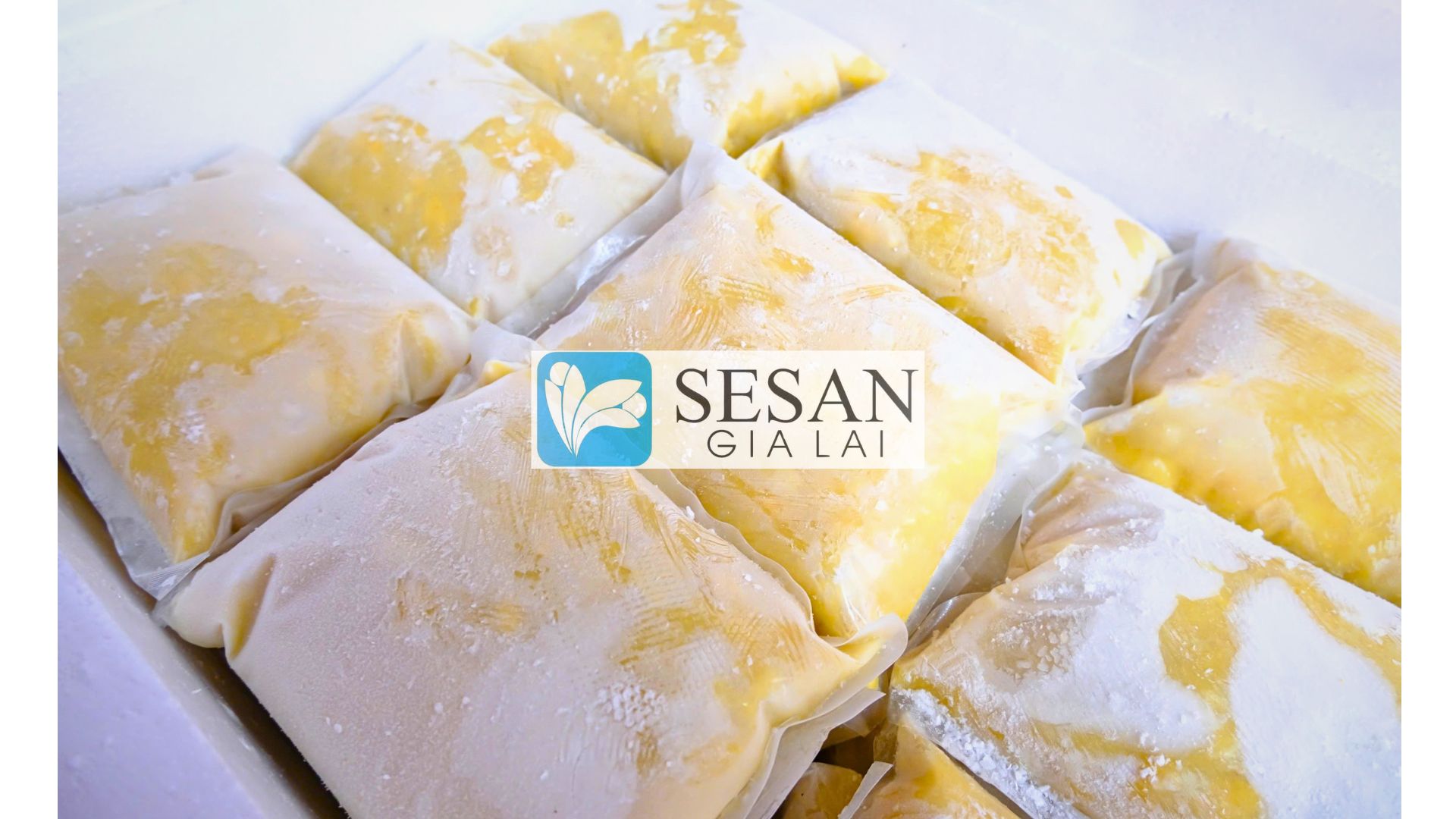 Sầu riêng đông lạnh Sêrêpôk