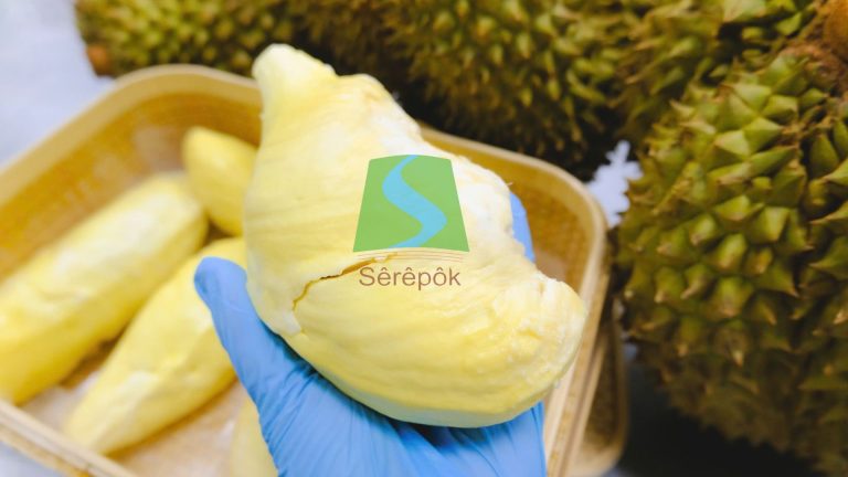 Sầu riêng múi Sêrêpôk