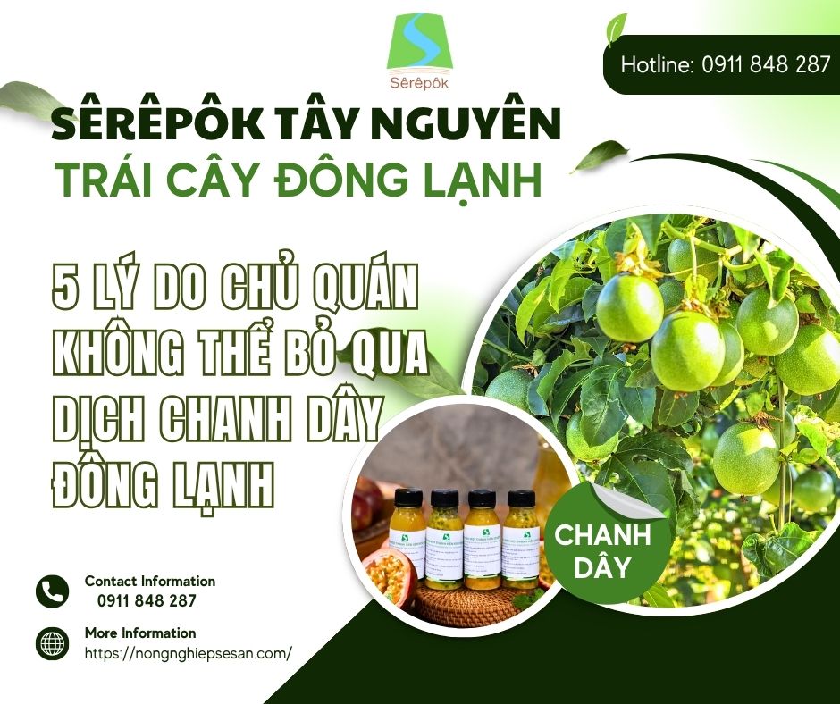 Trái cây đông lạnh Sêrêpôk Tây Nguyên