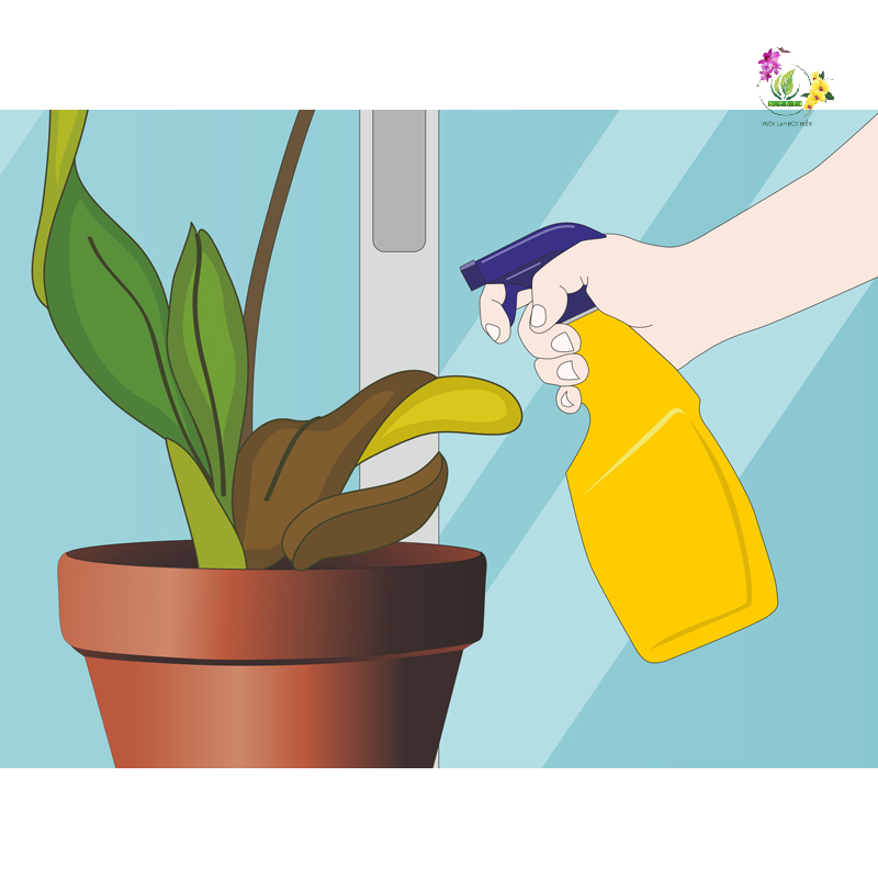 Tưới nước sai cách