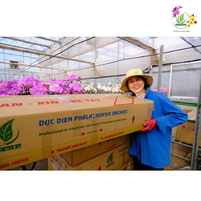 Vườn lan Đức Điền - Nơi chia sẻ đam mê và kỹ thuật
