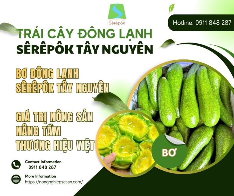 Bơ đông lạnh Sêrêpôk Tây Nguyên: Giá trị nông sản nâng tầm thương hiệu Việt