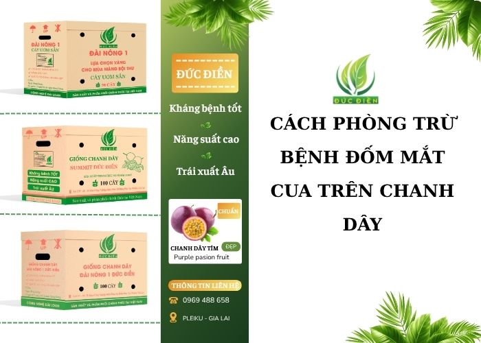 Cách phòng trừ bệnh đốm mắt cua trên chanh dây triệt để nhất