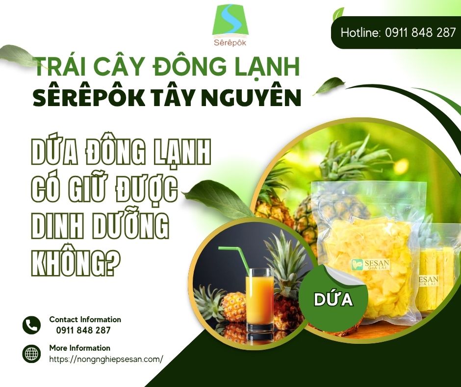 Dứa Đông Lạnh Sêrêpôk Tây Nguyên
