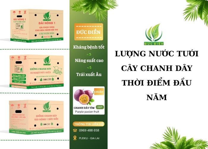 LƯỢNG NƯỚC TƯỚI CÂY CHANH DÂY THỜI ĐIỂM ĐẦU NĂM