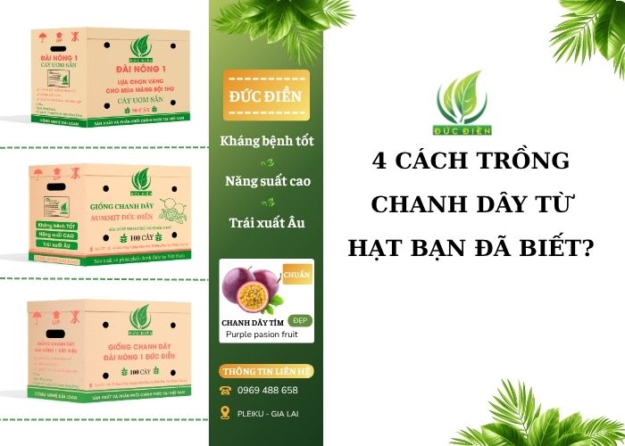 4 cách trồng chanh dây từ hạt đơn giản tại nhà