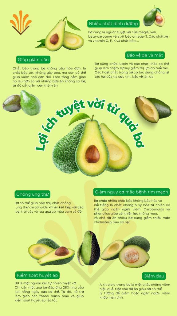 Dinh dưỡng từ Bơ Sêrêpôk Tây Nguyên