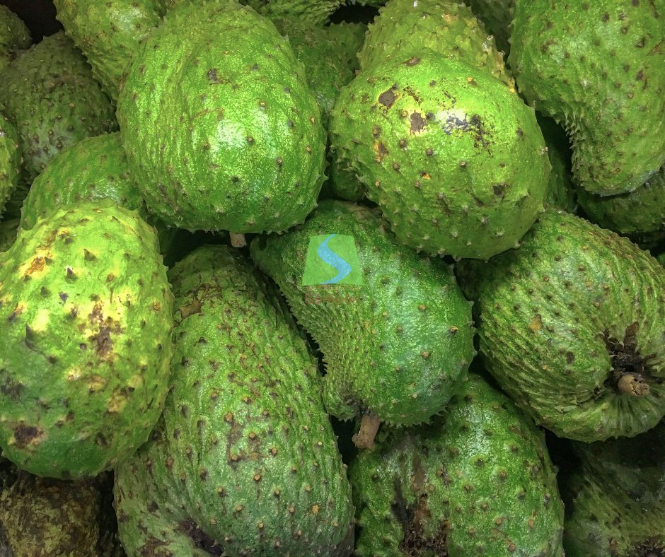 Mãng cầu Sêrêpôk Tây Nguyên