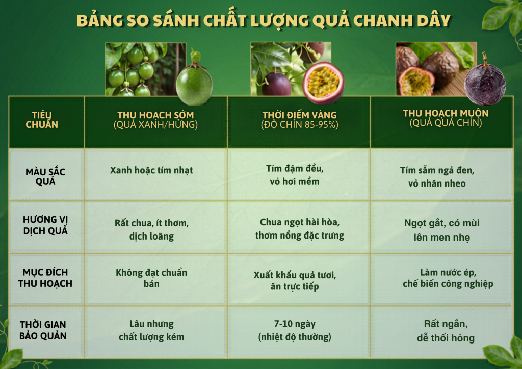 Bảng so sánh chất lượng quả chanh leo giống chất lượng cao với các tiêu chí đánh giá quả đạt chuẩn xuất khẩu.