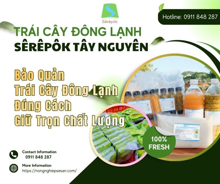 Bảo quản trái cây đông lạnh