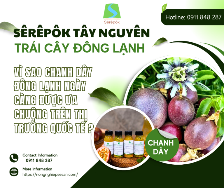 Vì Sao Chanh Dây Đông Lạnh Ngày Càng Được Ưa Chuộng Trên Thị Trường Quốc Tế?