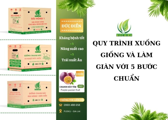 hướng dẫn quy trình 5 bước xuống giống và làm giàn chanh dây chuẩn kỹ thuật.