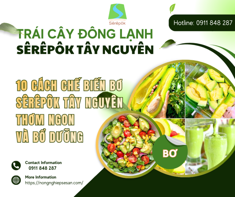 10 Cách Chế Biến Bơ Sêrêpôk Thơm Ngon, Bổ Dưỡng