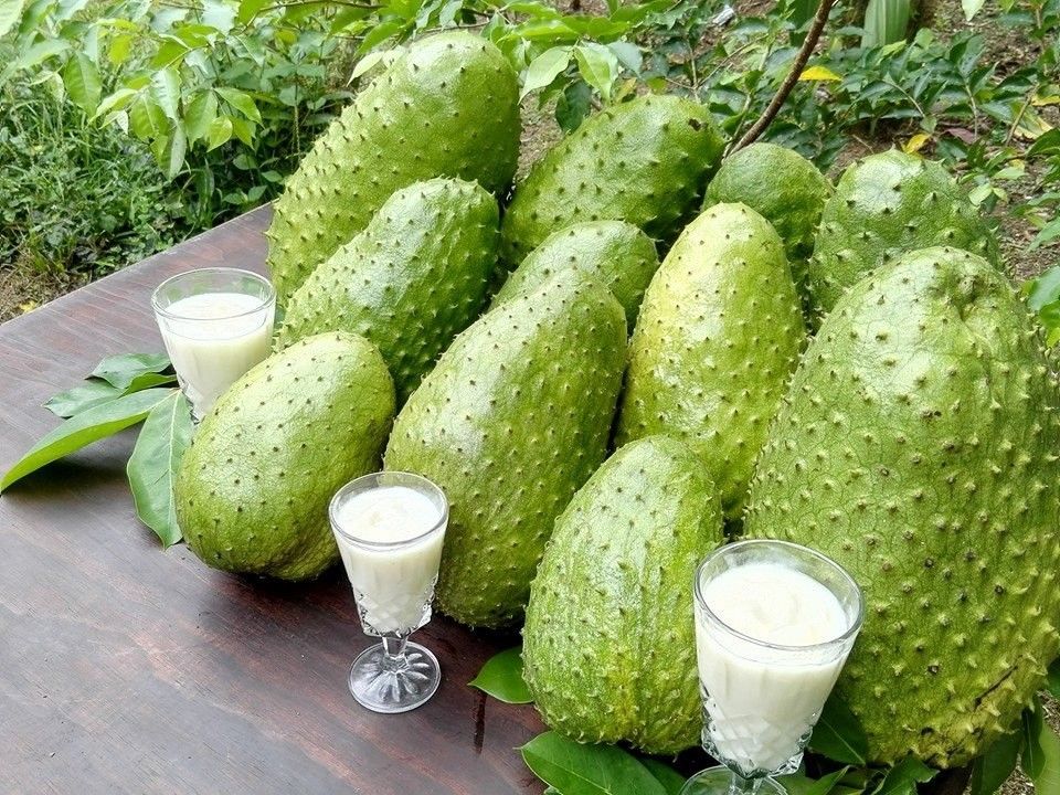Sinh tố mãng càu đông lạnh nguyên chất