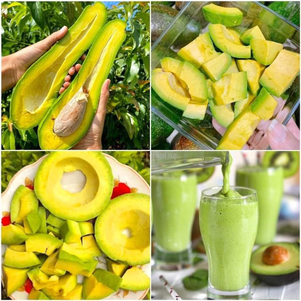 Dinh dưỡng từ Bơ 034 Sêrêpôk Tây Nguyên