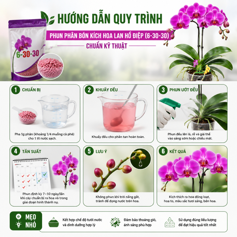 Hướng Dẫn Quy Trình Phun Phân Bón Kích Hoa Lan Hồ Điệp (6-30-30) Chuẩn Kỹ Thuật