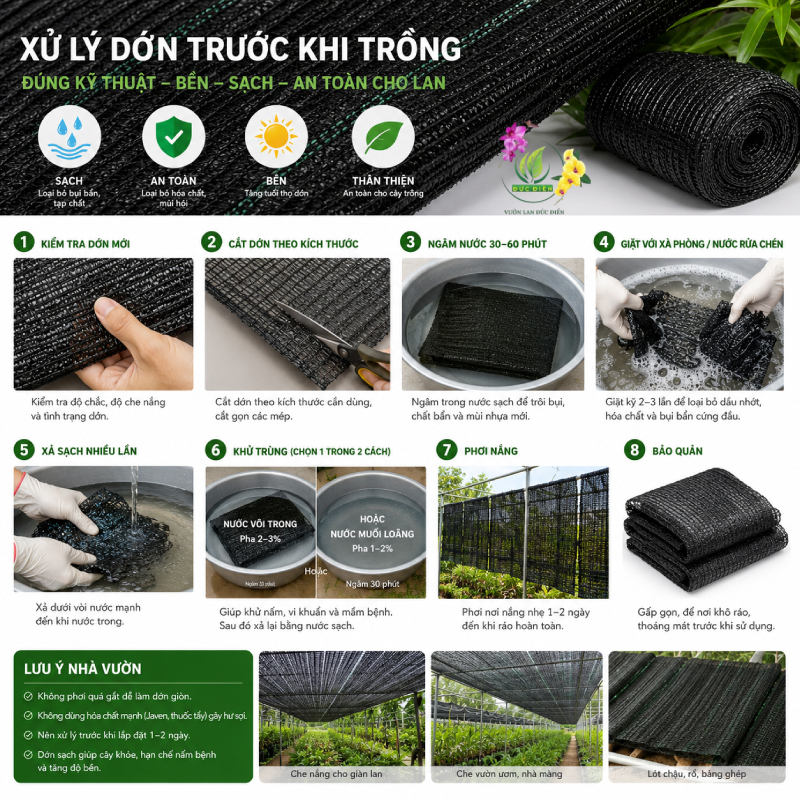 Hướng dẫn cách xử lý dớn chuẩn nhà vườn trước khi trồng
